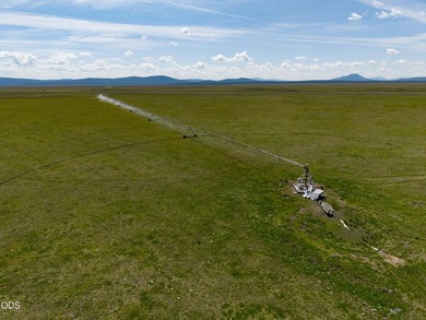 Bar Y Ranch and Pivots is a rare opportunity to acquire a - photo 5