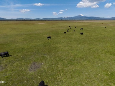 Bar Y Ranch and Pivots is a rare opportunity to acquire a - photo 6