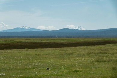 Bar Y Ranch and Pivots is a rare opportunity to acquire a - photo 7