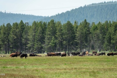 Bar Y Ranch and Pivots is a rare opportunity to acquire a - photo 8