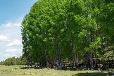 Bar Y Ranch and Pivots is a rare opportunity to acquire a - photo 9