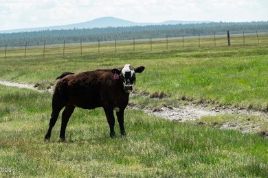 Bar Y Ranch and Pivots is a rare opportunity to acquire a - photo 10