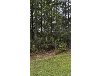 This beautiful vacant lot is located on a quiet street with - photo 3