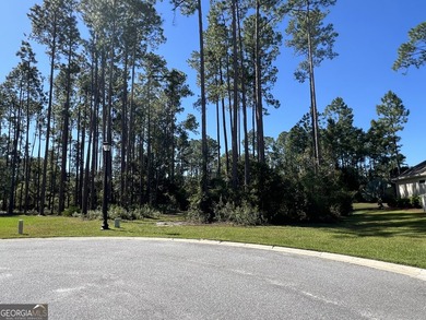 Build your dream home on this beautiful 0.65-acre lakefront lot - photo 3
