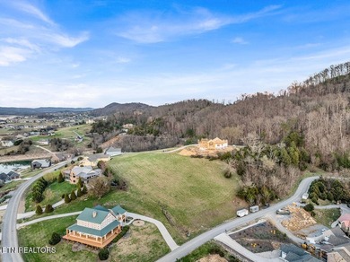 Bring on the Sunsets!!!!! .72 acre Lot #676 Russell Brothers Rd - photo 13