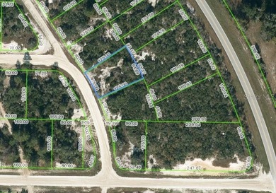Lake Grassy Lot For Sale in Lake Placid Florida
