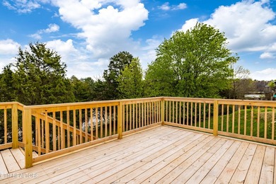Renovated 2-story + fully finished walkout basement home on a - photo 34