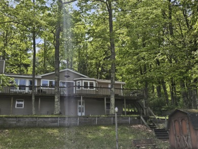 Lake Home For Sale in Baldwin, Michigan