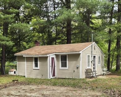 Lake Home For Sale in Bitely, Michigan