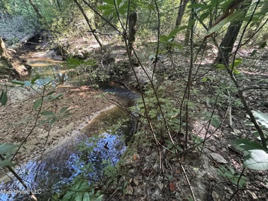 (private lake, pond, creek) Acreage For Sale in Brookhaven Mississippi