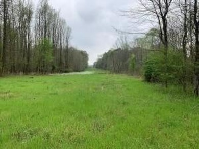 Lake Acreage For Sale in Russellville, Arkansas