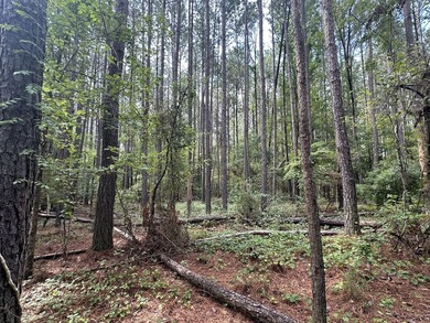 Great Acreage ready for your next Lake Home in the beautiful - photo 2