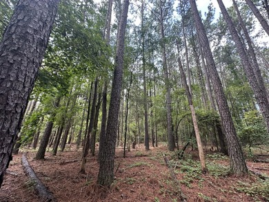 Great Acreage ready for your next Lake Home in the beautiful - photo 3