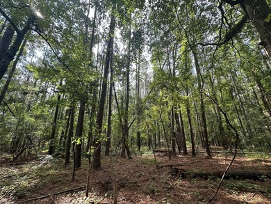 Great Acreage ready for your next Lake Home in the beautiful - photo 4