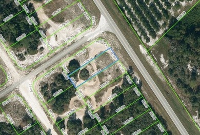 Lake Grassy Lot For Sale in Lake Placid Florida