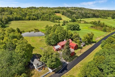 (private lake, pond, creek) Home For Sale in Minisink New York