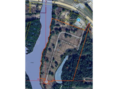 Lake Acreage For Sale in Andalusia, Alabama