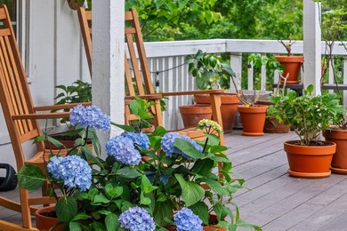 Rare opportunity to own this one-of-a-kind property on over 15 - photo 3