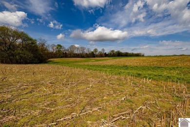 This tract offers a strong mix of hunting and tillable income - photo 11