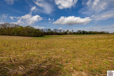 This tract offers a strong mix of hunting and tillable income - photo 12