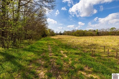 This tract offers a strong mix of hunting and tillable income - photo 13