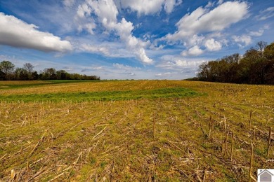 This tract offers a strong mix of hunting and tillable income - photo 14