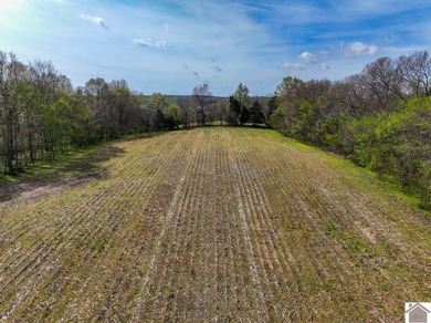 This tract offers a strong mix of hunting and tillable income - photo 15