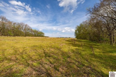 This tract offers a strong mix of hunting and tillable income - photo 16