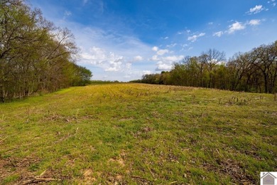 This tract offers a strong mix of hunting and tillable income - photo 17