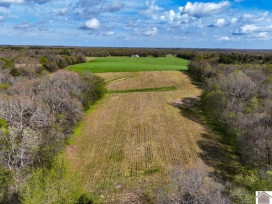 This tract offers a strong mix of hunting and tillable income - photo 18