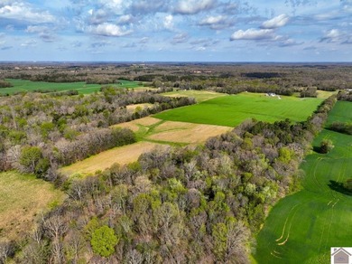 This tract offers a strong mix of hunting and tillable income - photo 19