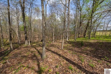 This tract offers a strong mix of hunting and tillable income - photo 20