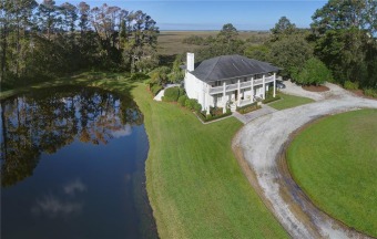(private lake, pond, creek) Home For Sale in Saint Simons Georgia