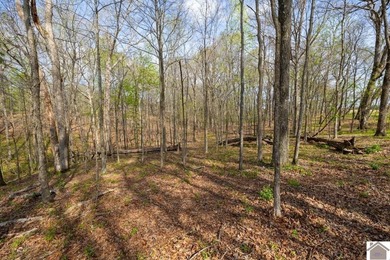 This tract offers a strong mix of hunting and tillable income - photo 21