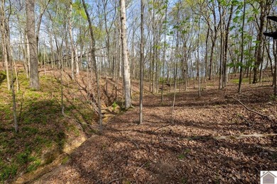 This tract offers a strong mix of hunting and tillable income - photo 22