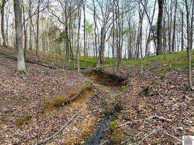 This tract offers a strong mix of hunting and tillable income - photo 23