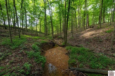 This tract offers a strong mix of hunting and tillable income - photo 24