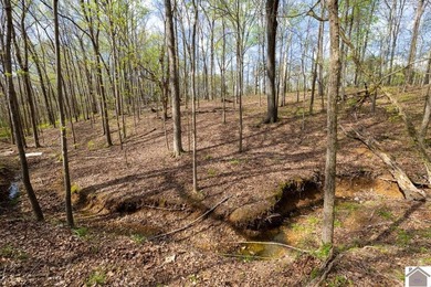 This tract offers a strong mix of hunting and tillable income - photo 25