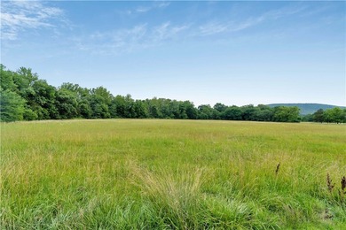 Nice one-owner home on 13.39 clear acres with many outbuildings - photo 26