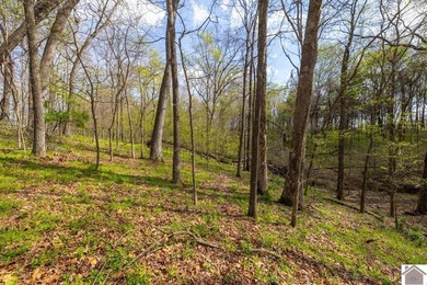 This tract offers a strong mix of hunting and tillable income - photo 26