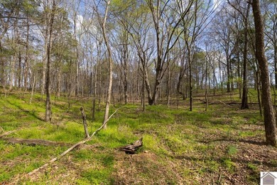 This tract offers a strong mix of hunting and tillable income - photo 27