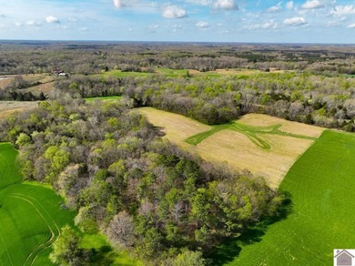 This tract offers a strong mix of hunting and tillable income - photo 28