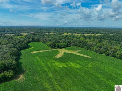 This tract offers a strong mix of hunting and tillable income - photo 29