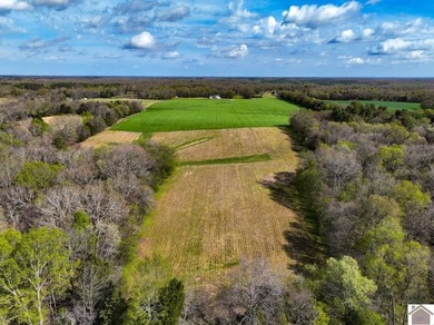 This tract offers a strong mix of hunting and tillable income - photo 30
