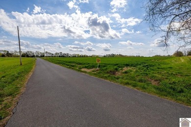 This tract offers a strong mix of hunting and tillable income - photo 32