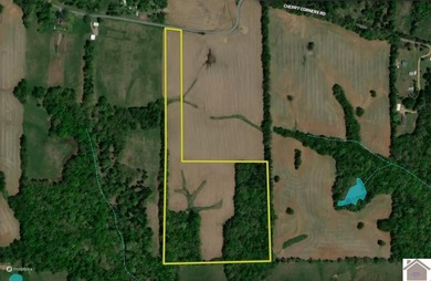 This tract offers a strong mix of hunting and tillable income - photo 33