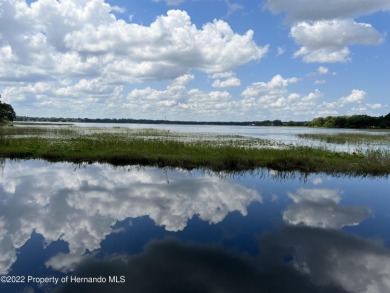 Tsala Apopka Chain of Lakes  Home For Sale in Hernando Florida