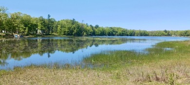 Lake Acreage For Sale in Twin Lake, Michigan