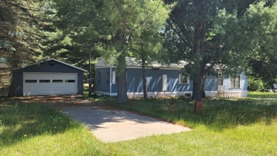 Ford Lake - Mason County Home For Sale in Fountain Michigan