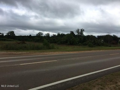 Commercial acreage in high traffic area on a major US Highway 80 - photo 2